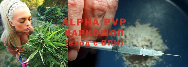 дмт Ростов