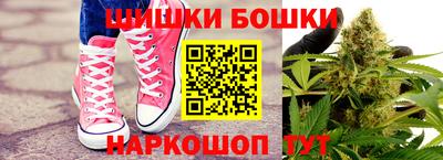 бошки Гатчина