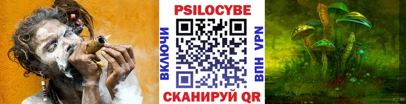 что такое наркотик Каменск-Шахтинский Псилоцибиновые грибы ЛСД