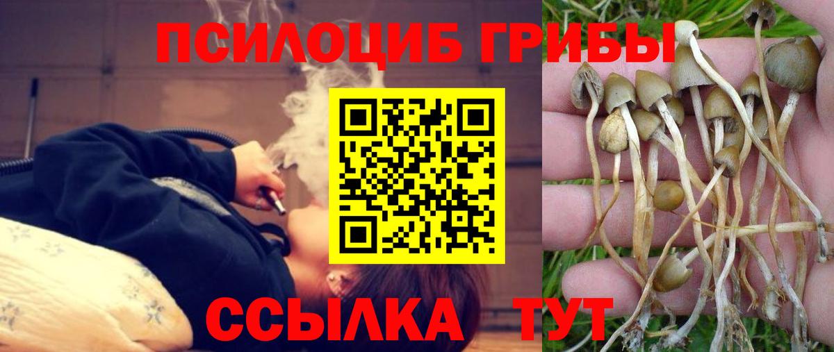 Псилоцибиновые грибы Psilocybe  Вход с VPN  Галлюциногенные грибы мицелий  Каменск-Шахтинский 